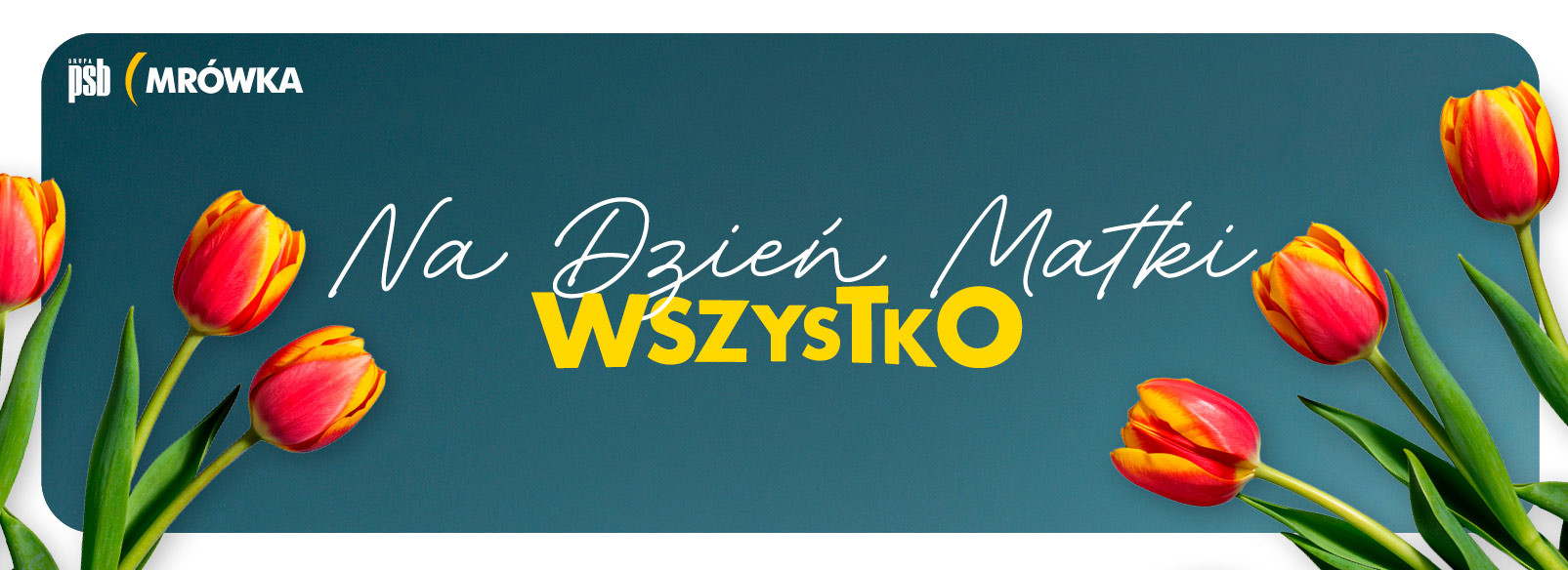 Grupa PSB mrowka PSB Mrówka Zduńska Wola